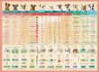 puppy vaccine schedule what to expect yjbfij7F