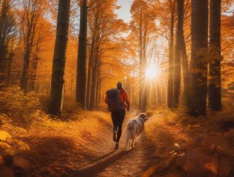 top 10 places to travel with your dog this fall i3irl4Uk